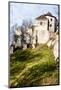 Castle Ruins on A Hill Top in Ojcow, Poland-Curioso Travel Photography-Mounted Photographic Print
