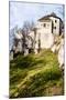 Castle Ruins on A Hill Top in Ojcow, Poland-Curioso Travel Photography-Mounted Photographic Print