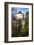 Castle Ruins on A Hill Top in Ojcow, Poland-Curioso Travel Photography-Framed Photographic Print