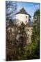 Castle Ruins on A Hill Top in Ojcow, Poland-Curioso Travel Photography-Mounted Photographic Print