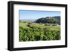 Castle Sitzenberg and Vineyards, Austria-Volker Preusser-Framed Photographic Print