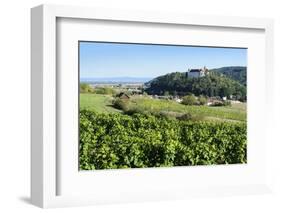 Castle Sitzenberg and Vineyards, Austria-Volker Preusser-Framed Photographic Print