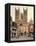 Castle Square, Lincoln Cathedral, Lincoln, Lincolnshire, England, UK-Ivan Vdovin-Framed Stretched Canvas