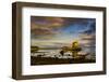 Castle Stalker on island at sunrise, Highlands, Scotland, UK-Panoramic Images-Framed Photographic Print