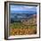 Castle Valley from La Sal Mountain, Moab, Utah, Usa-Charles Crust-Framed Photographic Print