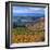 Castle Valley from La Sal Mountain, Moab, Utah, Usa-Charles Crust-Framed Photographic Print