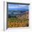 Castle Valley from La Sal Mountain, Moab, Utah, Usa-Charles Crust-Framed Photographic Print