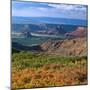 Castle Valley from La Sal Mountain, Moab, Utah, Usa-Charles Crust-Mounted Photographic Print