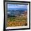 Castle Valley from La Sal Mountain, Moab, Utah, Usa-Charles Crust-Framed Photographic Print