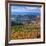 Castle Valley from La Sal Mountain, Moab, Utah, Usa-Charles Crust-Framed Photographic Print