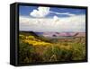 Castle Valley From La Sal Mountains With Fall Color in Valley, Utah, USA-Bernard Friel-Framed Stretched Canvas