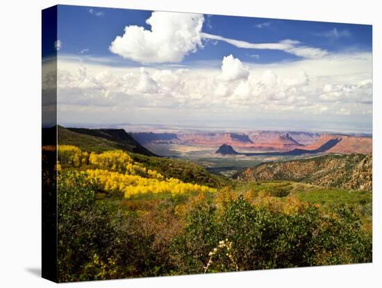 Castle Valley From La Sal Mountains With Fall Color in Valley, Utah, USA-Bernard Friel-Stretched Canvas