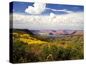 Castle Valley From La Sal Mountains With Fall Color in Valley, Utah, USA-Bernard Friel-Stretched Canvas