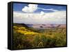 Castle Valley From La Sal Mountains With Fall Color in Valley, Utah, USA-Bernard Friel-Framed Stretched Canvas