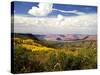 Castle Valley From La Sal Mountains With Fall Color in Valley, Utah, USA-Bernard Friel-Stretched Canvas