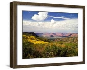 Castle Valley From La Sal Mountains With Fall Color in Valley, Utah, USA-Bernard Friel-Framed Photographic Print