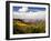 Castle Valley From La Sal Mountains With Fall Color in Valley, Utah, USA-Bernard Friel-Framed Photographic Print