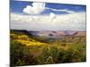 Castle Valley From La Sal Mountains With Fall Color in Valley, Utah, USA-Bernard Friel-Mounted Photographic Print