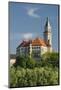 Castle Wallsee, the Danube, Austria-Rainer Mirau-Mounted Photographic Print