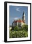 Castle Wallsee, the Danube, Austria-Rainer Mirau-Framed Photographic Print