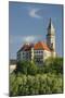 Castle Wallsee, the Danube, Austria-Rainer Mirau-Mounted Photographic Print