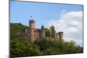 Castle, Wertheim, Bavaria, Germany-Jim Engelbrecht-Mounted Photographic Print