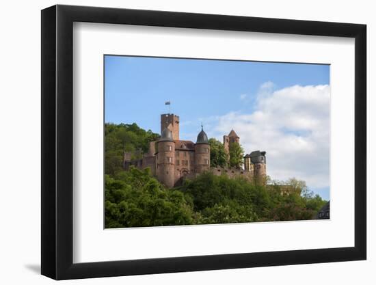 Castle, Wertheim, Bavaria, Germany-Jim Engelbrecht-Framed Photographic Print