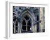 Castle Window and Gargoyle, Prague, Czech Republic-David Herbig-Framed Photographic Print