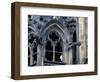 Castle Window and Gargoyle, Prague, Czech Republic-David Herbig-Framed Photographic Print