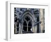 Castle Window and Gargoyle, Prague, Czech Republic-David Herbig-Framed Photographic Print