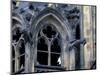 Castle Window and Gargoyle, Prague, Czech Republic-David Herbig-Mounted Photographic Print