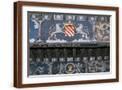 Brown Frame