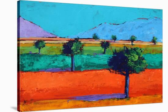 Castlemorton II-Paul Powis-Stretched Canvas