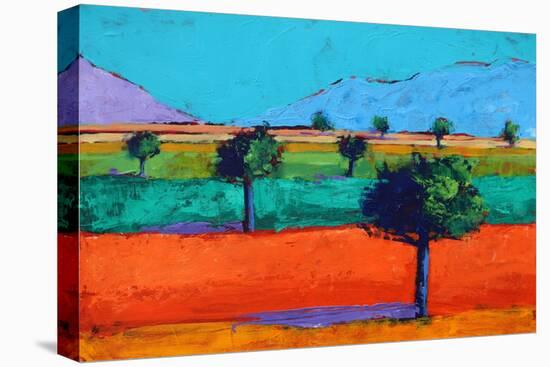 Castlemorton II-Paul Powis-Stretched Canvas