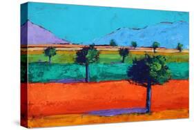 Castlemorton II-Paul Powis-Stretched Canvas