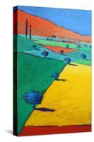 Castlemorton III-Paul Powis-Stretched Canvas