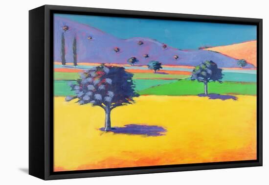 Castlemorton-Paul Powis-Framed Stretched Canvas