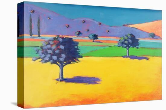 Castlemorton-Paul Powis-Stretched Canvas