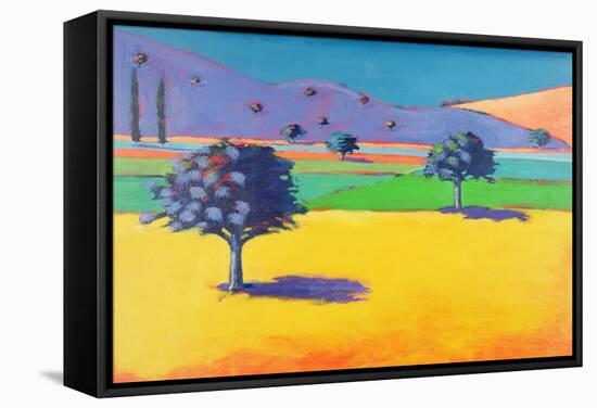 Castlemorton-Paul Powis-Framed Stretched Canvas