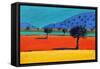 Castlemorton-Paul Powis-Framed Stretched Canvas