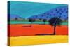 Castlemorton-Paul Powis-Stretched Canvas