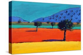 Castlemorton-Paul Powis-Stretched Canvas