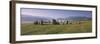 Castlerigg Stone Circle at Dawn, Near Keswick, Lake District National Park, Cumbria, England-Patrick Dieudonne-Framed Photographic Print