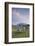 Castlerigg Stone Circle in the Lake District National Park, Cumbria, England, United Kingdom-Julian Elliott-Framed Photographic Print