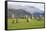 Castlerigg Stone Circle, Keswick, Lake District National Park, Cumbria, England-Ruth Tomlinson-Framed Stretched Canvas