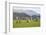 Castlerigg Stone Circle, Keswick, Lake District National Park, Cumbria, England-Ruth Tomlinson-Framed Photographic Print