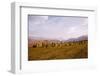 Castlerigg Stone Circle near Keswick, Cumberland, UK, 20th century-CM Dixon-Framed Photographic Print