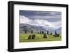 Castlerigg Stone Circle, near Keswick, Lake District National Park, Cumbria, England, United Kingdo-John Potter-Framed Photographic Print