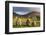 Castlerigg Stone Circle with Blencathra Mountain Behind, Lake District, Cumbria-Adam Burton-Framed Photographic Print