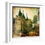 Castles Of France - Vintage Series-Maugli-l-Framed Art Print